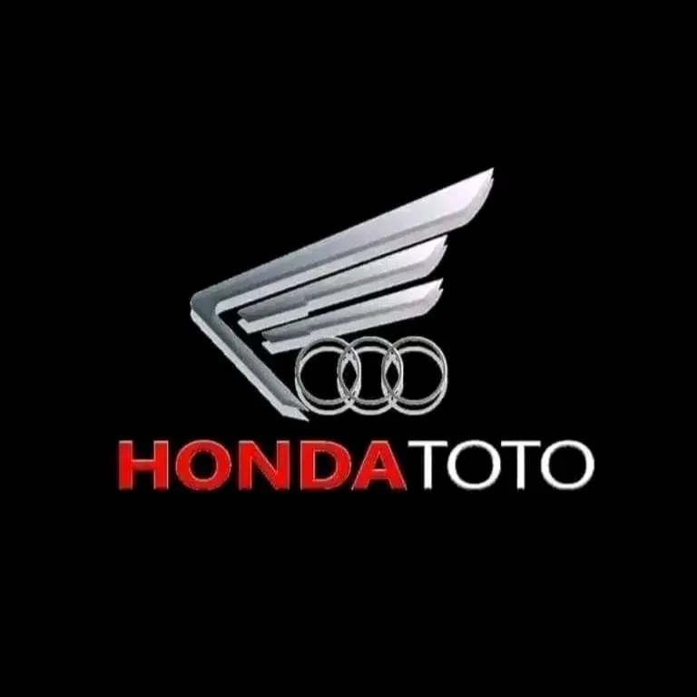 HONDATOTO - Pertarungan Seru di Dunia Fighting